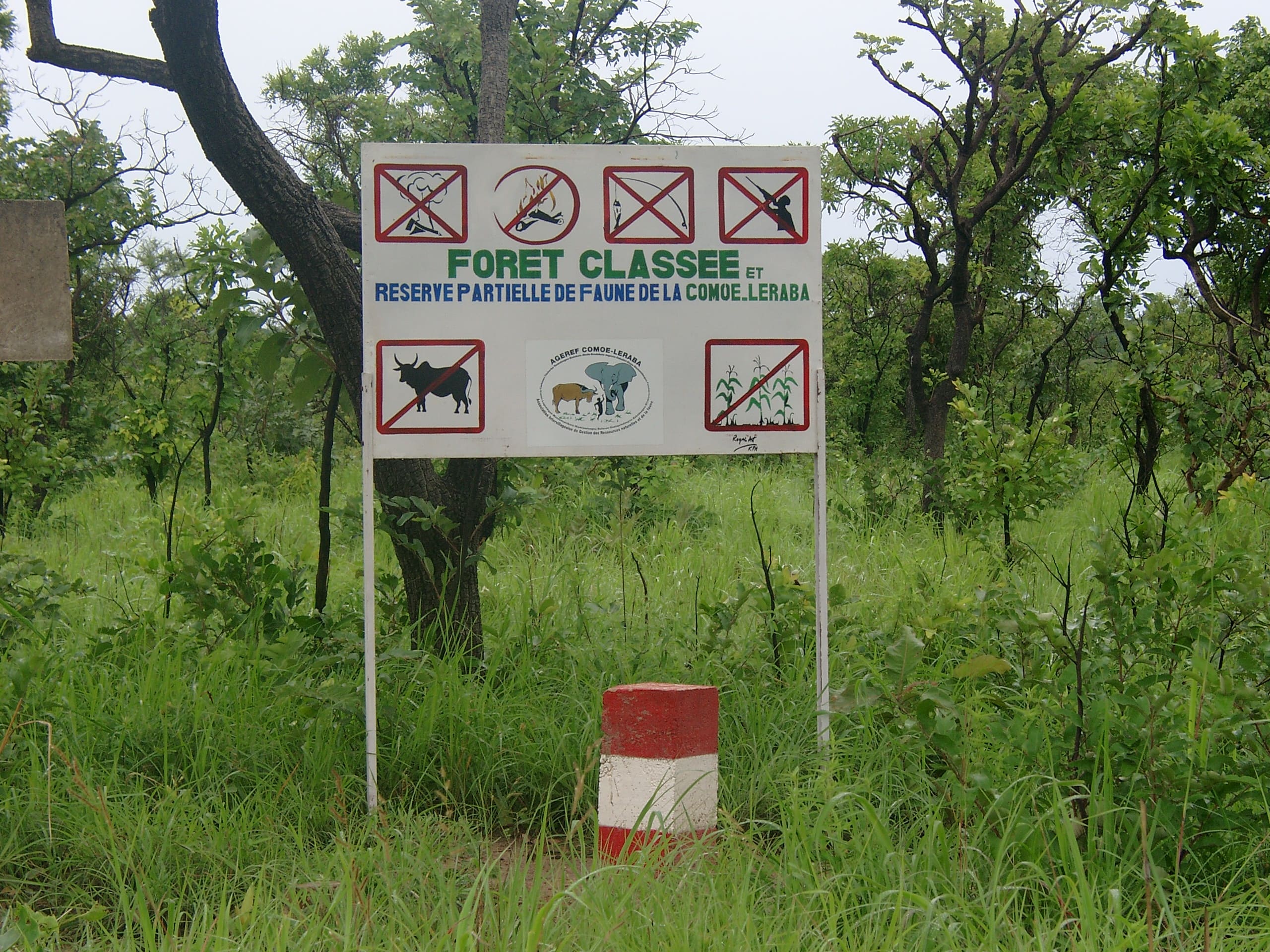 Slide 25